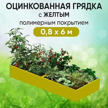 Грядка желтая (0,8 х 6)